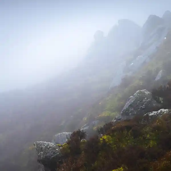Silence II