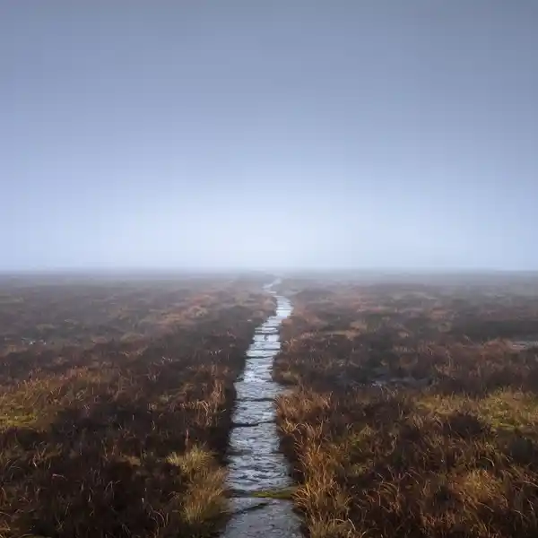 Silence