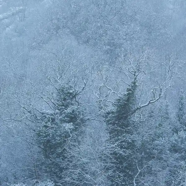 Crimple Valley Snow (1)