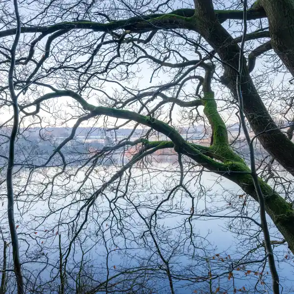 Whispers of winter's end
