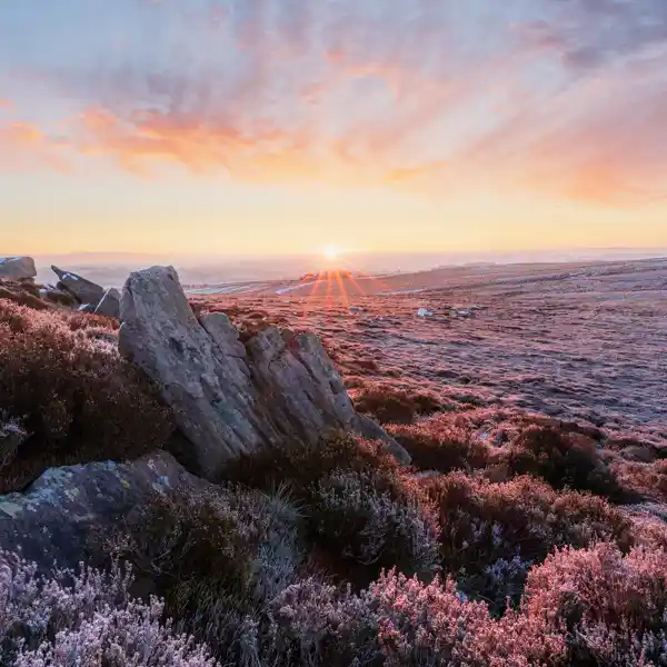 Moorland frost at dawn