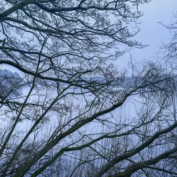 The sky turns grey